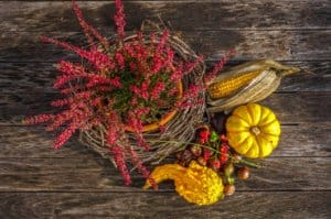 Thanksgiving Day: 5 Reasons to be Sober this Thanksgiving
